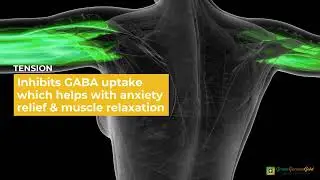 CBG Benefits