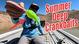 Catch bigger bass on Deep Diving Crankbaits this summer!
