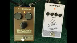 TC Electronic Echobrain in 3D