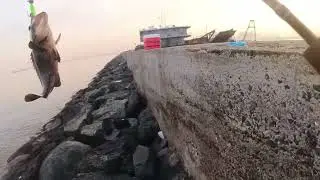 FISHING @ BASECO SPOT