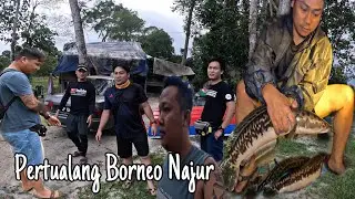 Pertualang Borneo,Najur Ikan Toman Batik Hulu Sungai.