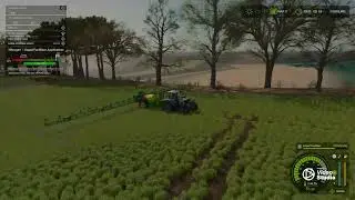 Spraying Fertilizer on the Wheat for a Better Yield