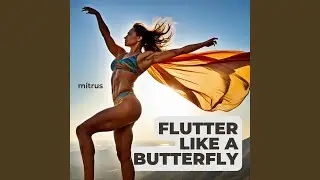 Flutter Like a Butterfly