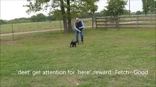 Watermark Retrievers training lessons beginning with the Fetch Game used in the Bill Hillmann progra