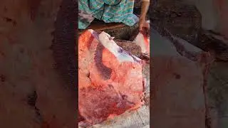 Best Meat Cutting #meatcuttingskills #meatprocessing #beefmeat
