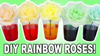 DIY RAINBOW ROSES!