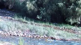 Гузаре аз рохи  Истирохатгохи Гармчашма