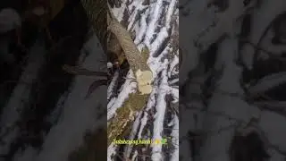 mini piła dobra do cięcia ale gałęzi