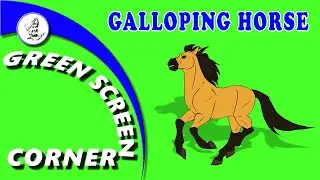 GALLOPING HORSE & SHADOW RACE JOCKEY DERBY  RUNNING Green Screen Corner Animation Video Chrome Key