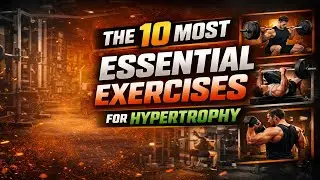 MY FAVOURITE MOVEMENTS FOR MUSCLE GROWTH