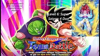 DBZ Dokkan Battle! FINALLY COMPLETE! PERFECT COOPERATION TEAM BATTLE LEVEL 6 SSJ4 DUO!
