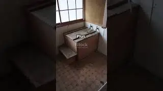 Why Japanese Homes Have Just One Bathroom! #JapaneseHomes #BathroomDesign #funfacts