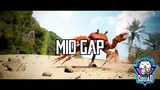 MID GAP