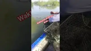 waktunya pulang dari tambak #jangkauan #fyp #mancing #video #fishing