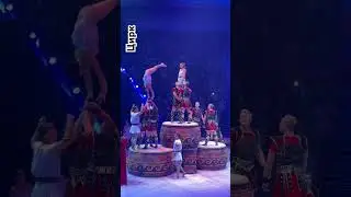 Цирк братьев Запашных &laquo;Легенда&raquo; #цирк #viralvideo #циркзапашных #circus #circusinternational #viral