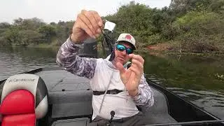 &ldquo;TOPWATER CHAOS! 💥🐟 Explosive Buzzbait Strikes + How-To Session 🎣