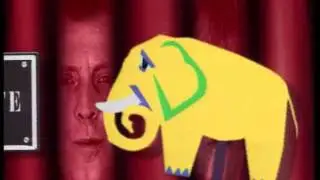 Sttellla Les Eléphants