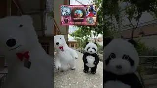 Panda oq ayiq mishka Samarkand