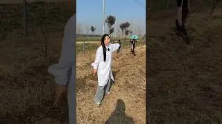 They took the dried sweet mulberries from me | Amazing fruits Farming by rural farmer #fruit