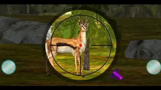 Real Animal Hunting Sniper Shooting Jungle Safari Game 3D - Animal Hunting Gameplay