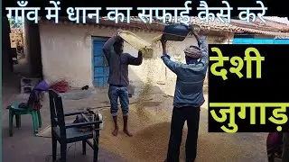 farming! winnoing paddy from dust! small village farming||देशी जुगाड़ 🤔