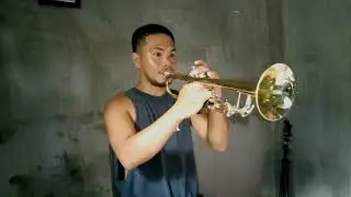 Fernando - ABBA || Trumpet Song Cover 🎺