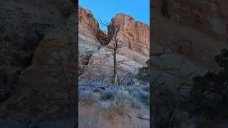 Devil's Garden in Arches National Park 🫶 #nature #utahbeauty