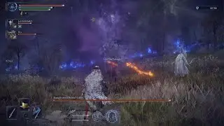 FartinLutherKing NIGHTREIGN Dancer and Fissure in the fog boss fights