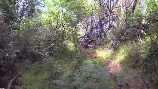Kauai 2014 Hare and Hound A Class Riders. Garden Isle Motorcycle Club