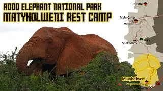 Addo Elephant National Park: Matyholweni Rest Camp