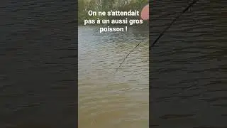 on ne s'attendait pas &agrave; un si gros poisson !