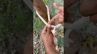 Everyday Life Use Knot !