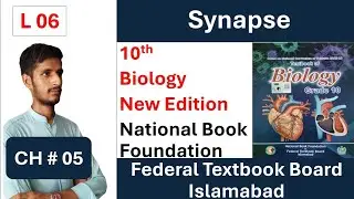 Synapse | Class 10 Biology Chapter 05 | Nervous System | FBISE | NBF Book | New Edition