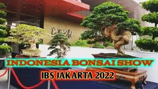 Indonsai bonsai show IBS Jakarta 2022