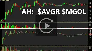 $AVGR $MGOL AH Top Stocks Replay & Review