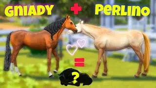 THE SIMS 4 KONIE NA MODACH! Hodowla