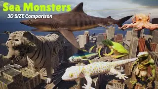 🦑 Terrifying Deep Sea Animals! 🐠 Smallest to Largest Ranked! 🌊 Deep Sea Monsters RANKED! 🐙