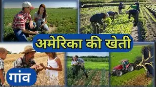 अमेरिका की खेती कैसे होती है | American Farming In Hindi