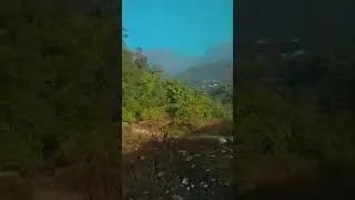 #shortvideo #nature