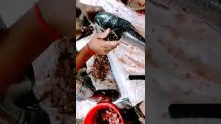 Real Rui Fish Cutting in Market 🐟 | Rohu Fish Cleaning #shorts #short