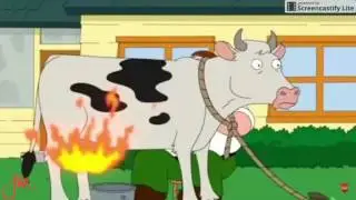 Family Guy- Peter Drinks Redbull For The First Time