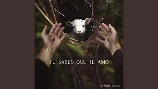 Tú sabes que te amo