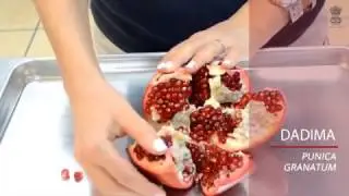 Food articles for Diabetics
