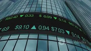Forex Trading 101 Avoid Beginner Pitfalls!