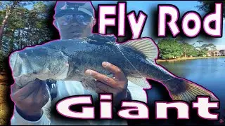 You&rsquo;re Not Supposed to Catch Bass Like This&hellip; (Florida Fly Fishing)