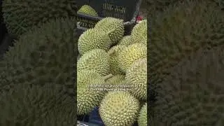 Цены на дуриан сорта Musang King останутся на десятилетнем минимуме еще примерно две недели: сооб...