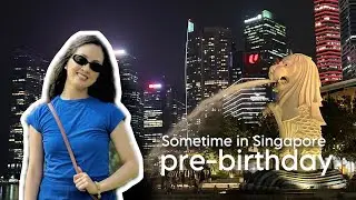 23-Hour Layover in Singapore | Merlion Park, Marina Bay Sands, Chinatown, Chicken Rice, Lau Pa Sat🇸🇬