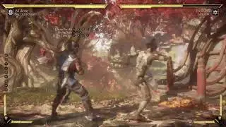 Learning how to play mk11