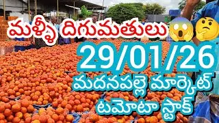 29-01-26 Madanapalle Tomato Market price Today || Today Tomato Market Rate in Madanapalle #today