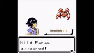 100 Battle! (Wild Pok&eacute;mon - Naljo Version) - Pok&eacute;mon Prism